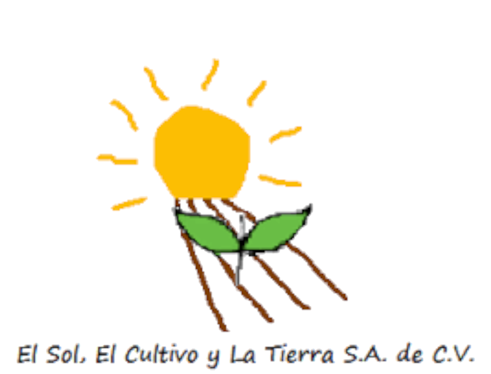 Sol-cultivo-tierra